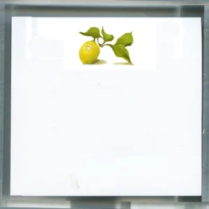 Mini Lemon Acrylic Stationary Box