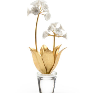 Auricula on a Crystal Vase